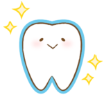 綺麗な歯