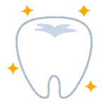 健康な歯を維持するためには毎日のケアと歯医者でのプロケアが重要です。