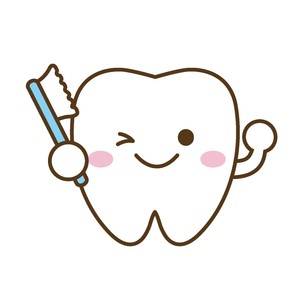 健康な歯