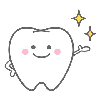綺麗な歯