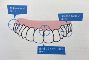 プラウト