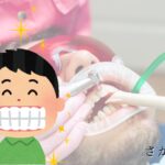 歯メンテナンス