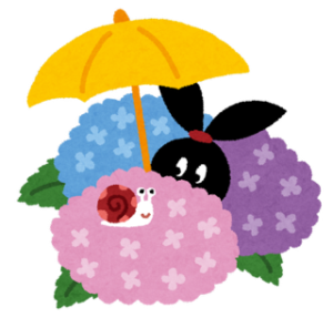 紫陽花の写真