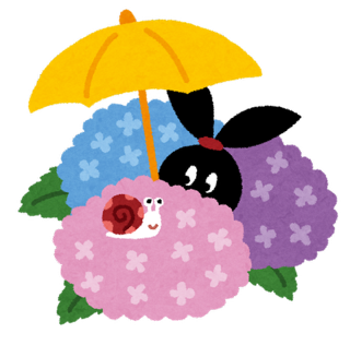 紫陽花の写真